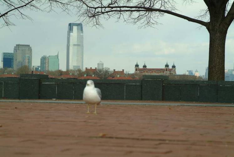 NYC_2006-12-05 12-31-36